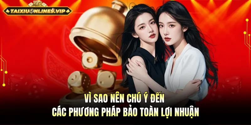 Lý do cần chú ý đến các phương pháp bảo toàn lợi nhuận