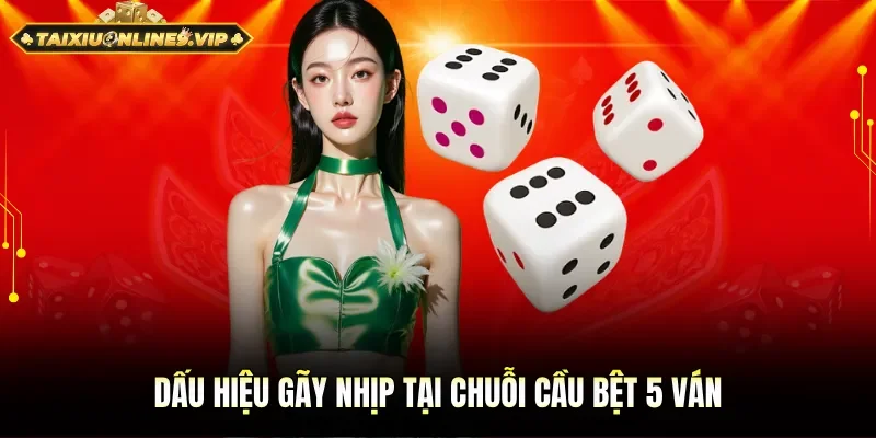 Dấu hiệu gãy nhịp tại chuỗi cầu bệt 5 ván
